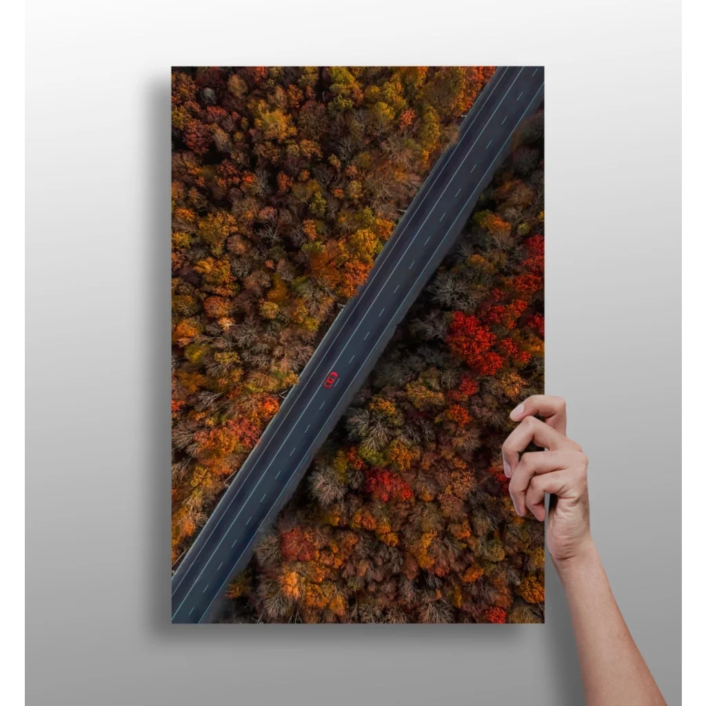 Vibrant autumn road on insigne aluminum print, aerial diagonal view