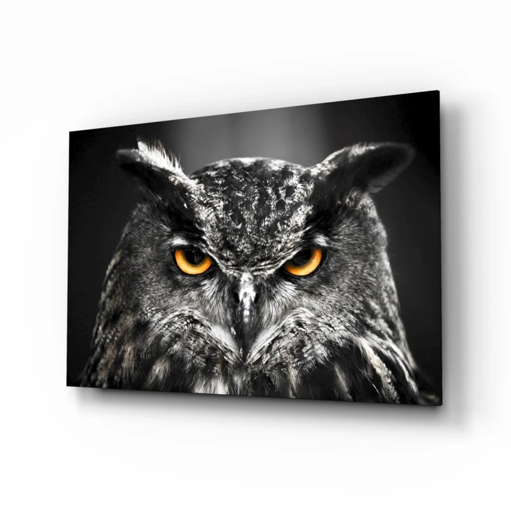 Stunning owl tempered glass art with vibrant orange eyes close-up