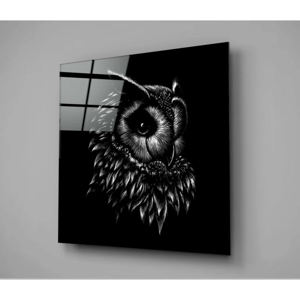 Black glass wall art with stunning owl face and intricate feathers