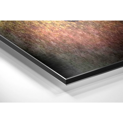 Stunning Brushed Aluminium Dibond Wall Art Print | Glass Wall Art Print | vintageantiquesgifts.com
