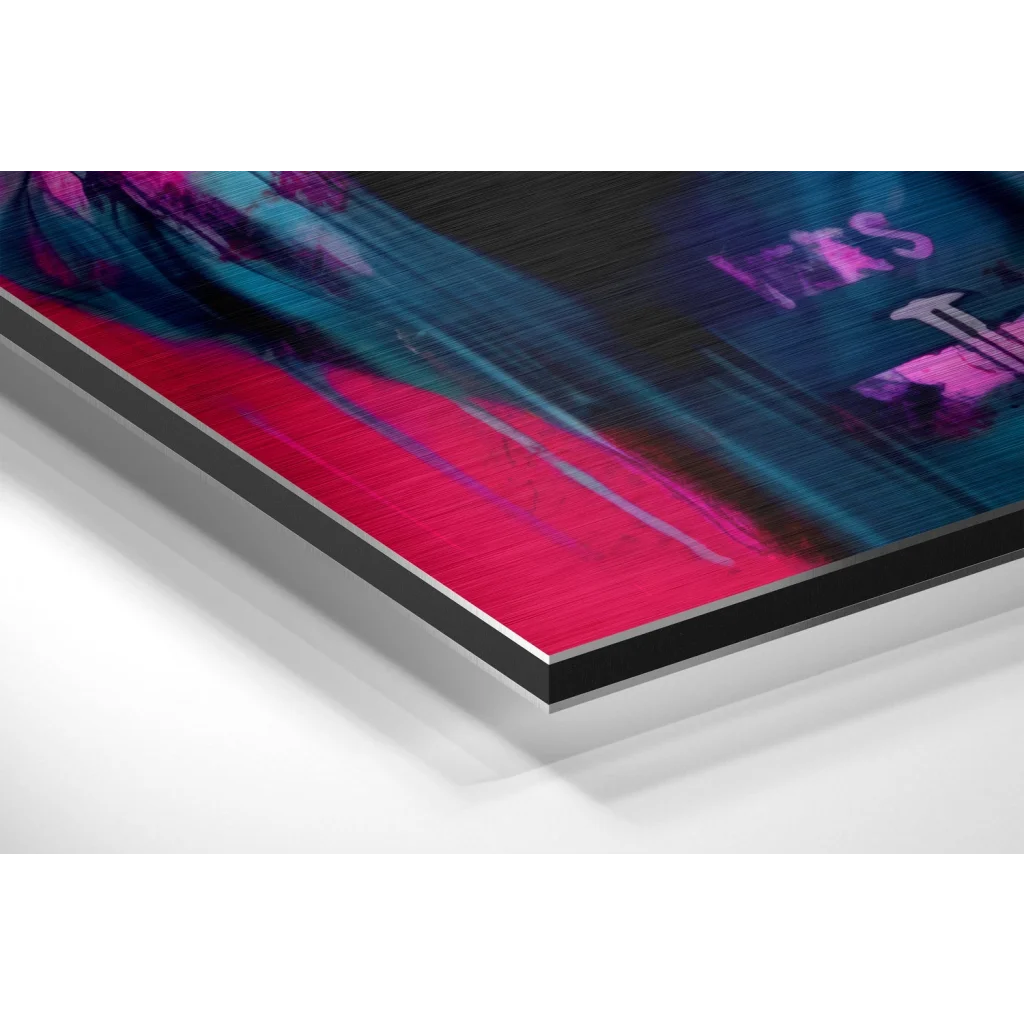 Panda Brushed Aluminum Dibond Wall Art