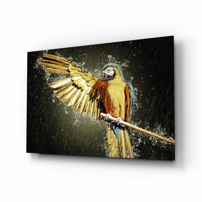 Stunning Macaw Glass Wall Art with Vibrant Water Splash Design | Insigneart USA | vintageantiquesgifts.com