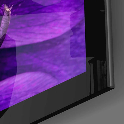 Vibrant purple anemone on sleek curved glass wall art TV screen