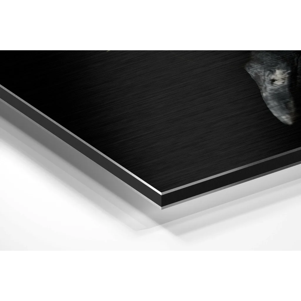 Glass Wall Art Black metal-framed gray wolf silhouette on brushed aluminium dibond wall art