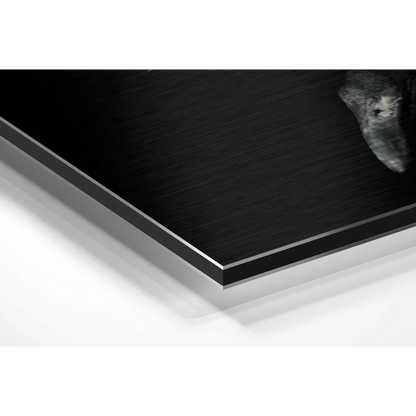 Black metal-framed gray wolf silhouette on brushed aluminium dibond wall art