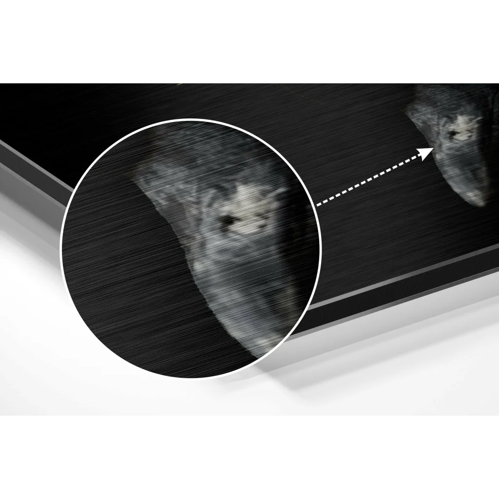 Black brushed aluminium dibond pedal wall art with matte texture