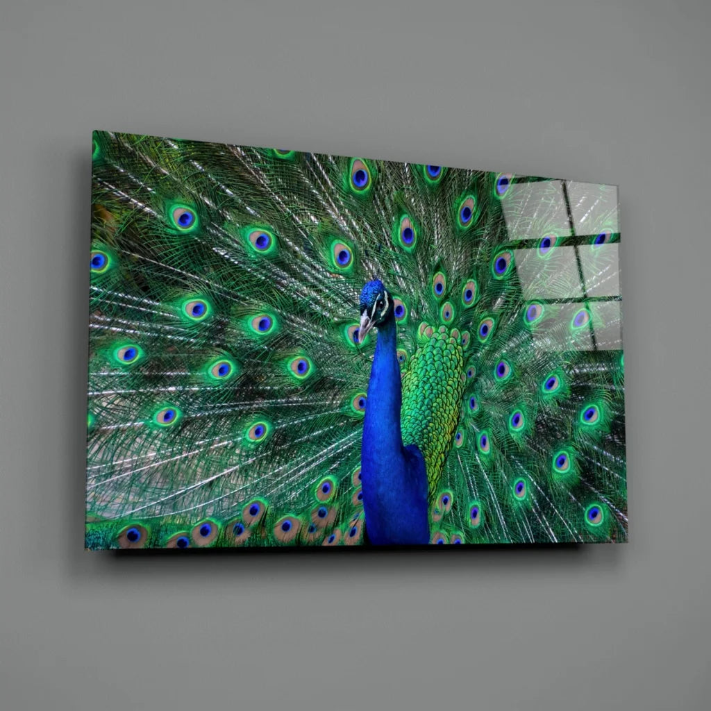 Stunning Peacock Glass Wall Art with Iridescent Feathers | Glass Wall Art Print | vintageantiquesgifts.com