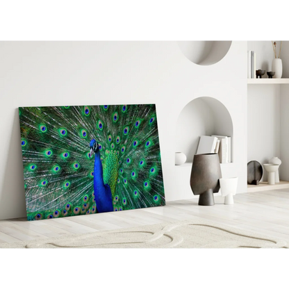 Stunning Peacock Glass Wall Art with Iridescent Feathers | Modern Wall Art Decor | vintageantiquesgifts.com