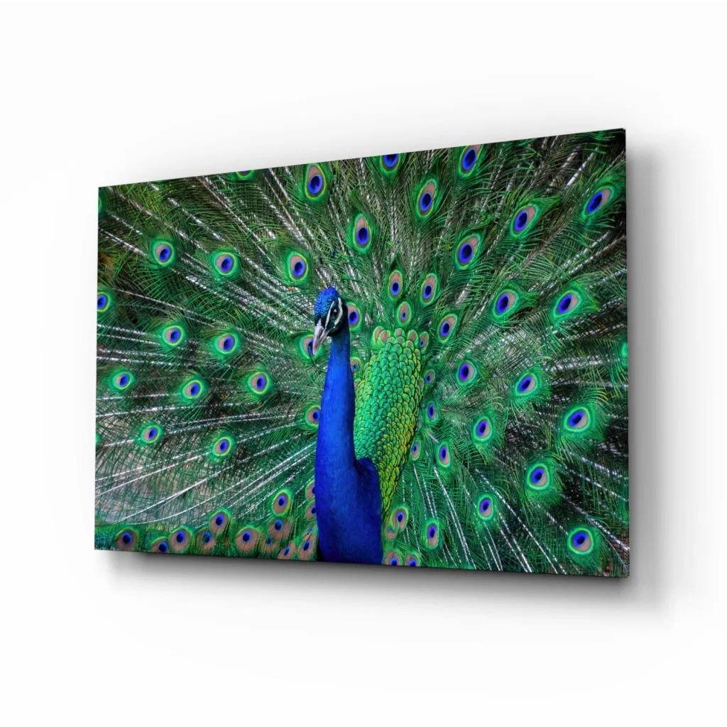 Stunning Peacock Glass Wall Art with Iridescent Feathers | Insigneart USA | vintageantiquesgifts.com