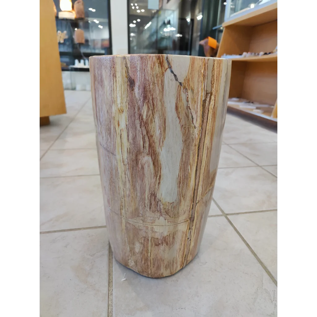 Petrified wood pedestal with natural wood-finish stone top