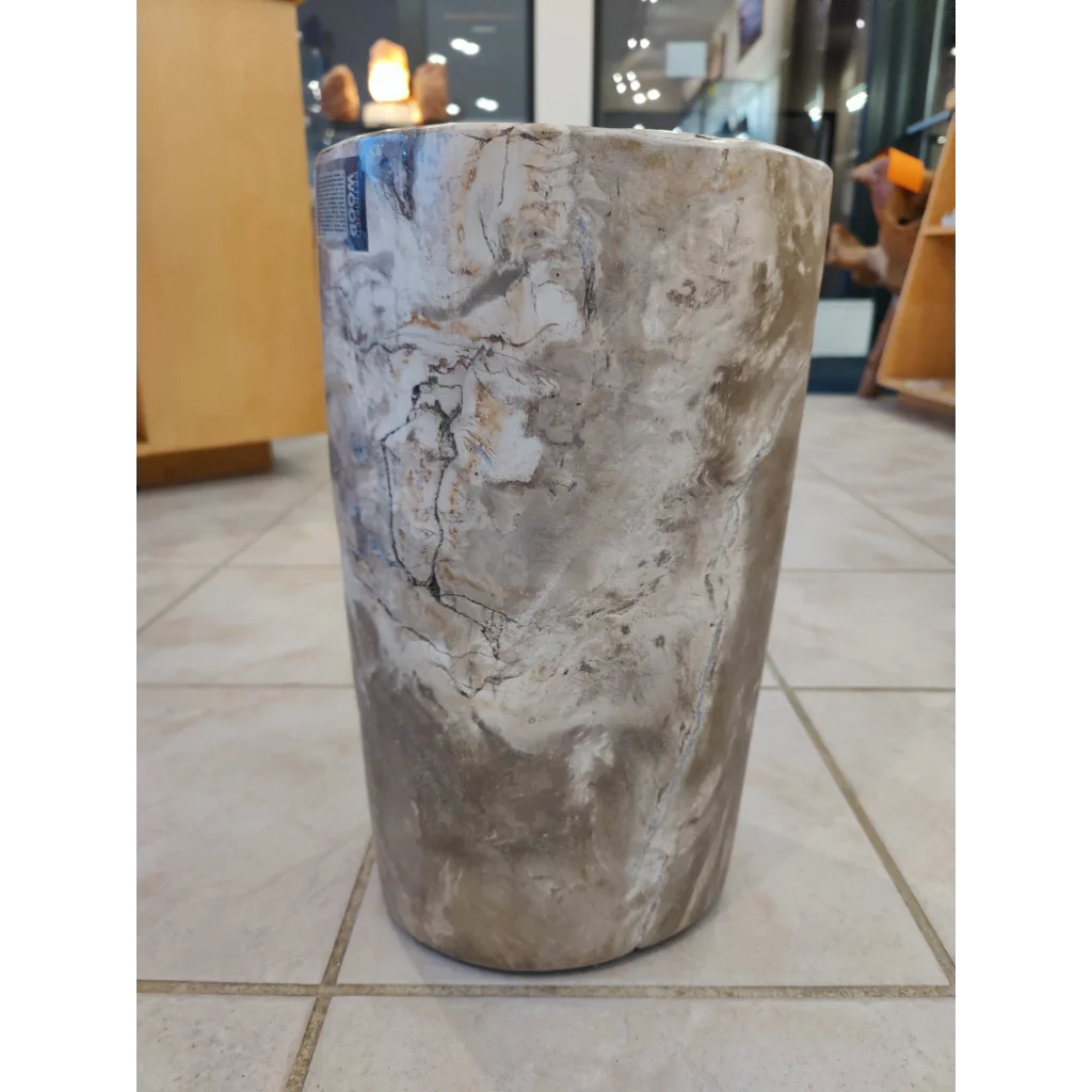 Petrified wood pedestal with mottled gray fossilized stone texture