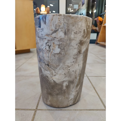 Petrified wood pedestal with mottled gray fossilized stone texture
