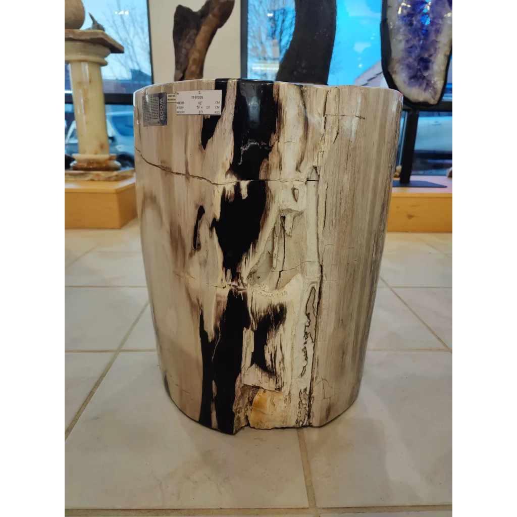 Petrified wood pedestal side table with black-and-cream rugged texture