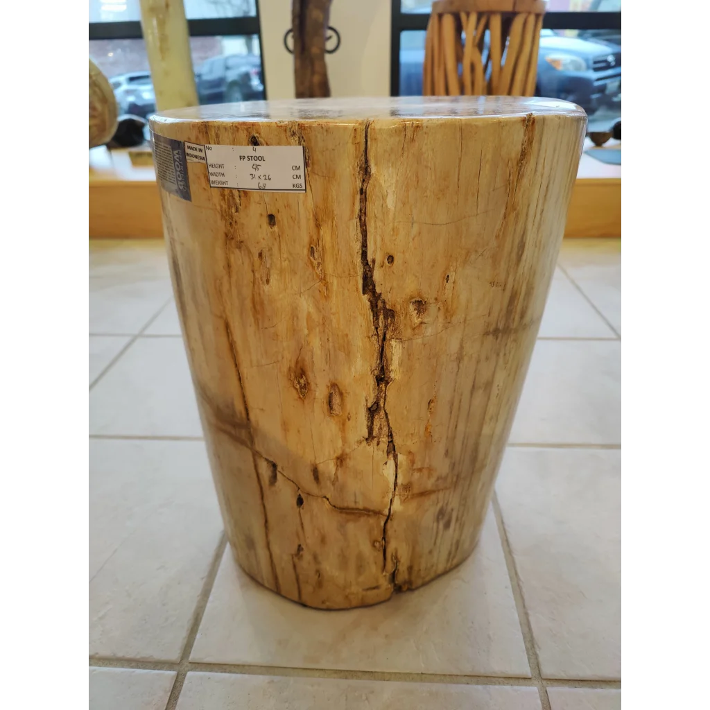 Petrified wood pedestal stool with natural grain and bark in tan hue