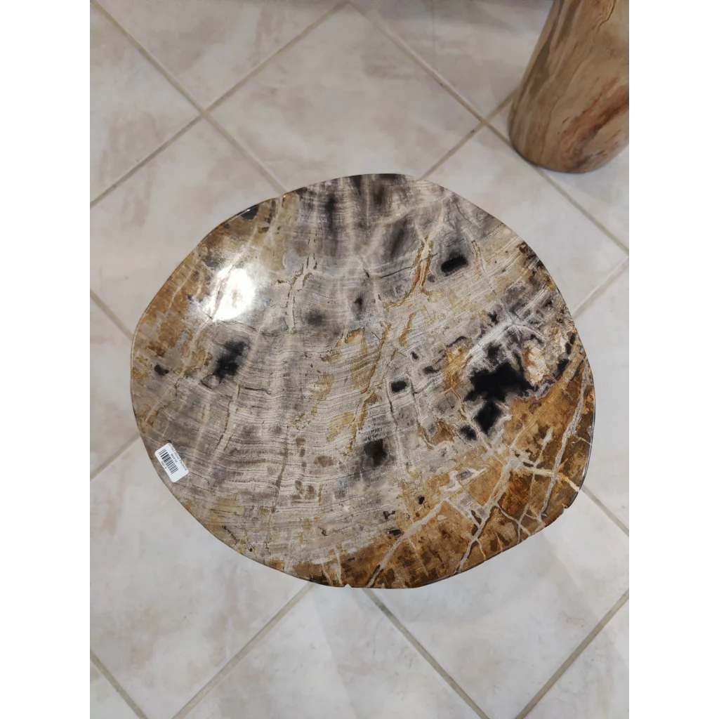 Polished petrified wood pedestal tabletop with natural brown veining