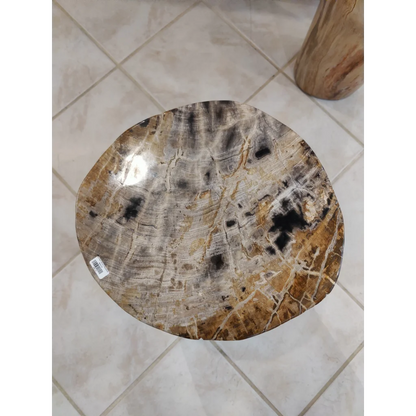 Polished petrified wood pedestal tabletop with natural brown veining