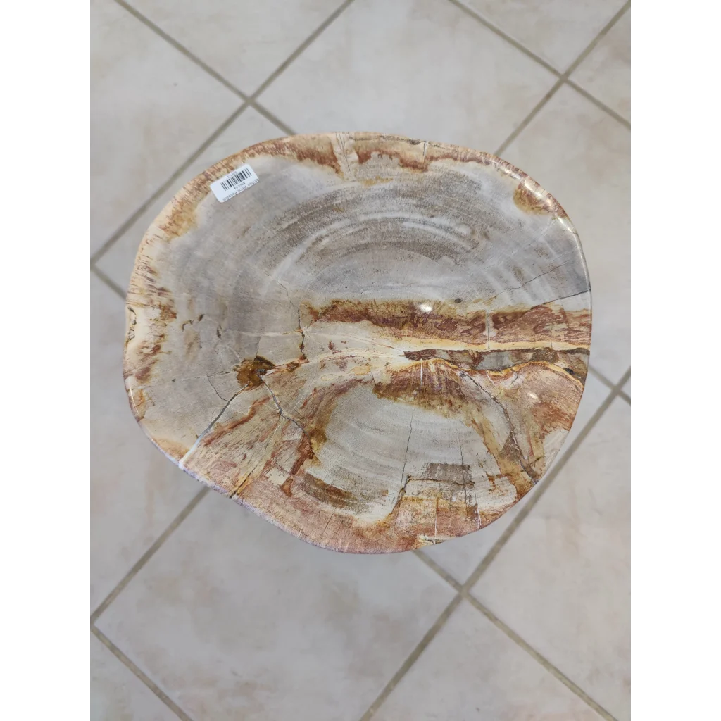 Polished petrified wood pedestal stool with natural rings