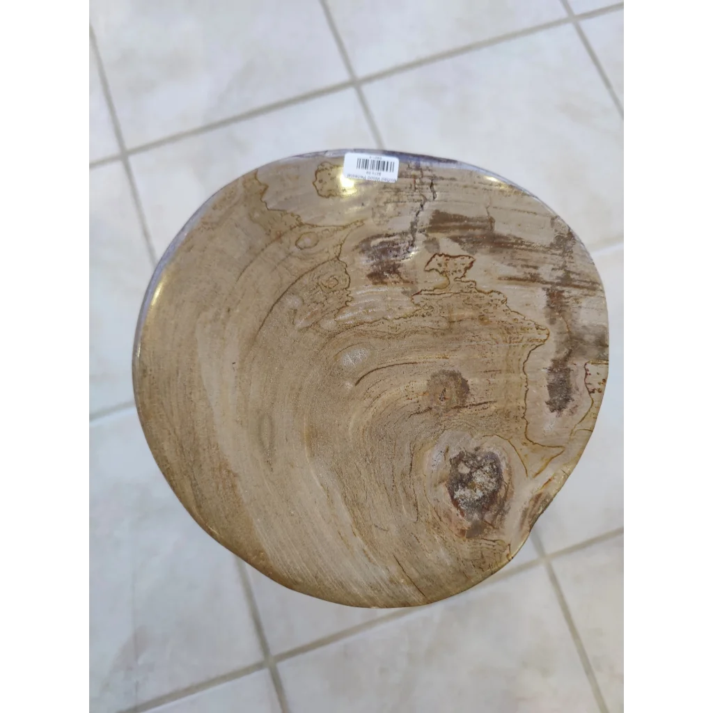Petrified wood pedestal stool with polished swirling brown grain