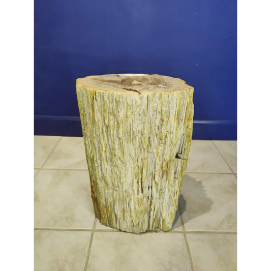 Rustic petrified wood pedestal stool with natural beige textured surface