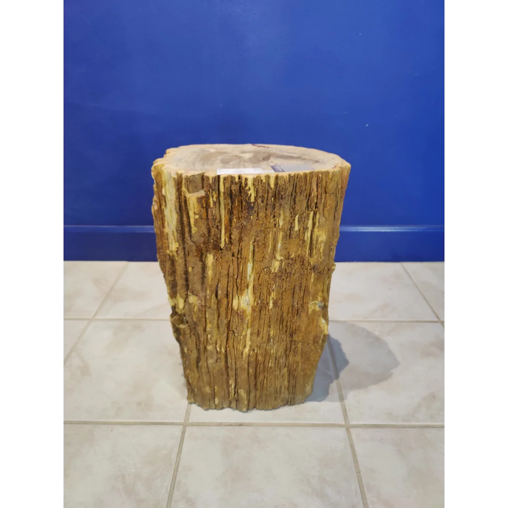 Rustic petrified wood pedestal stool with natural golden-brown texture