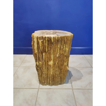 Rustic petrified wood pedestal stool with natural golden-brown texture