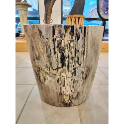 Rustic petrified wood pedestal table with natural striations