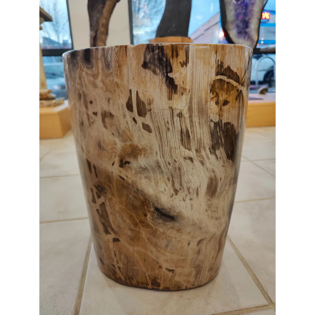Rustic petrified wood pedestal side table with natural grain