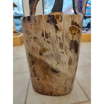 Rustic petrified wood pedestal side table with natural grain