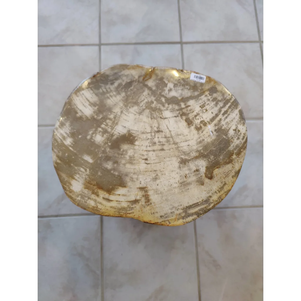 Rustic petrified wood pedestal stool with natural golden-brown finish