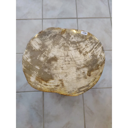 Rustic petrified wood pedestal stool with natural golden-brown finish