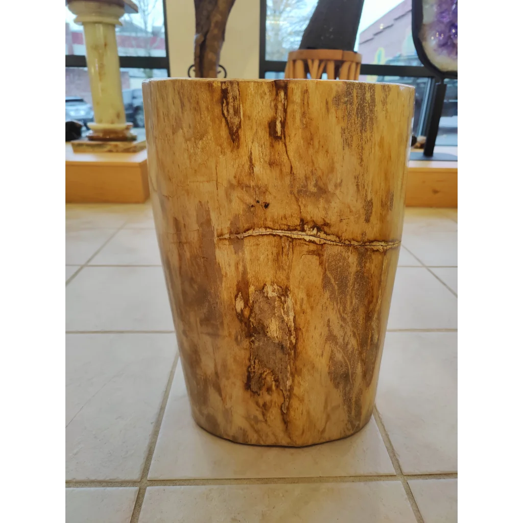 Rustic petrified wood pedestal with light brown stump grain and bark