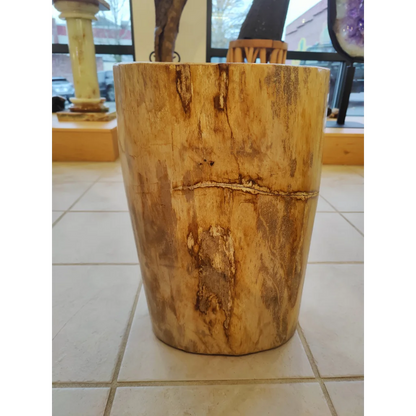 Rustic petrified wood pedestal with light brown stump grain and bark