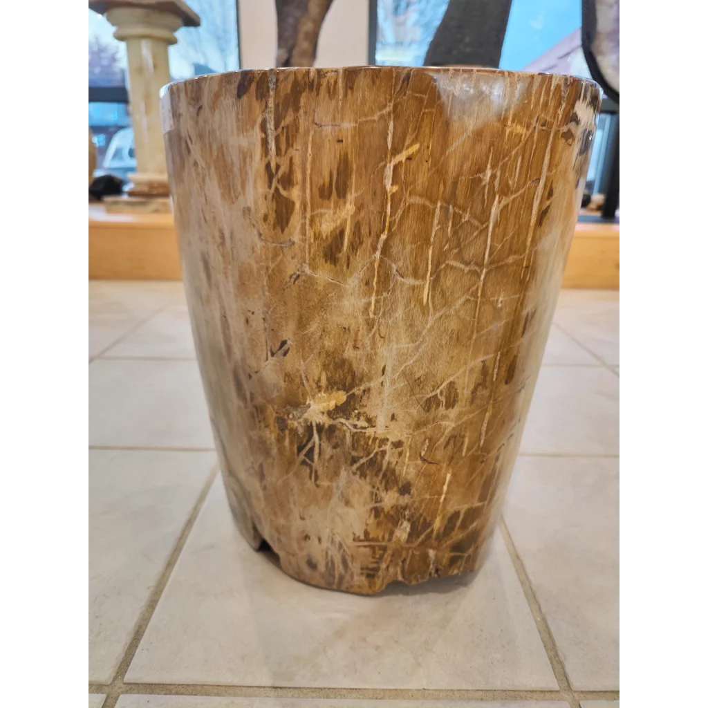Rustic petrified wood pedestal with cracked natural grain surface