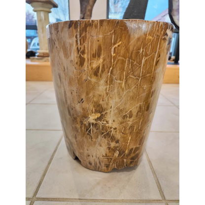 Rustic petrified wood pedestal with cracked natural grain surface