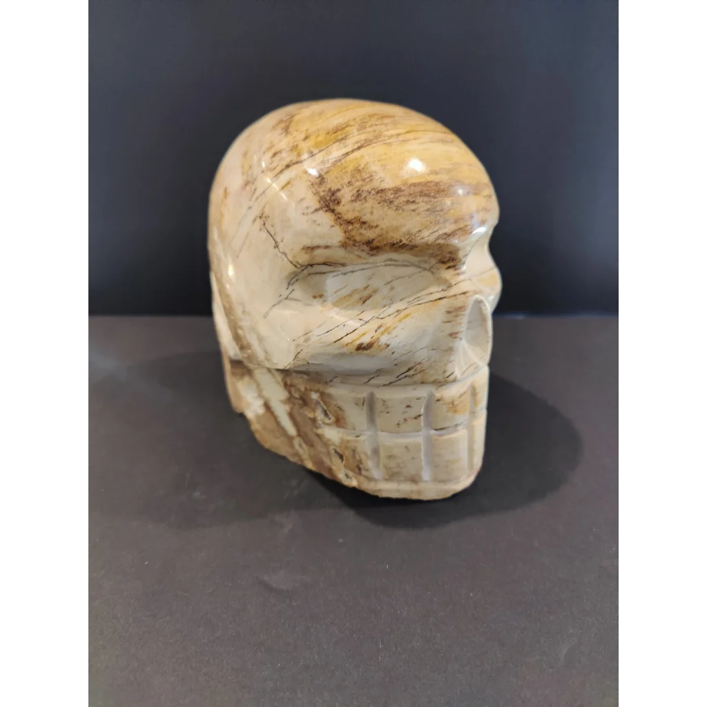 Polished petrified wood skull sculpture with marbled beige brown finish