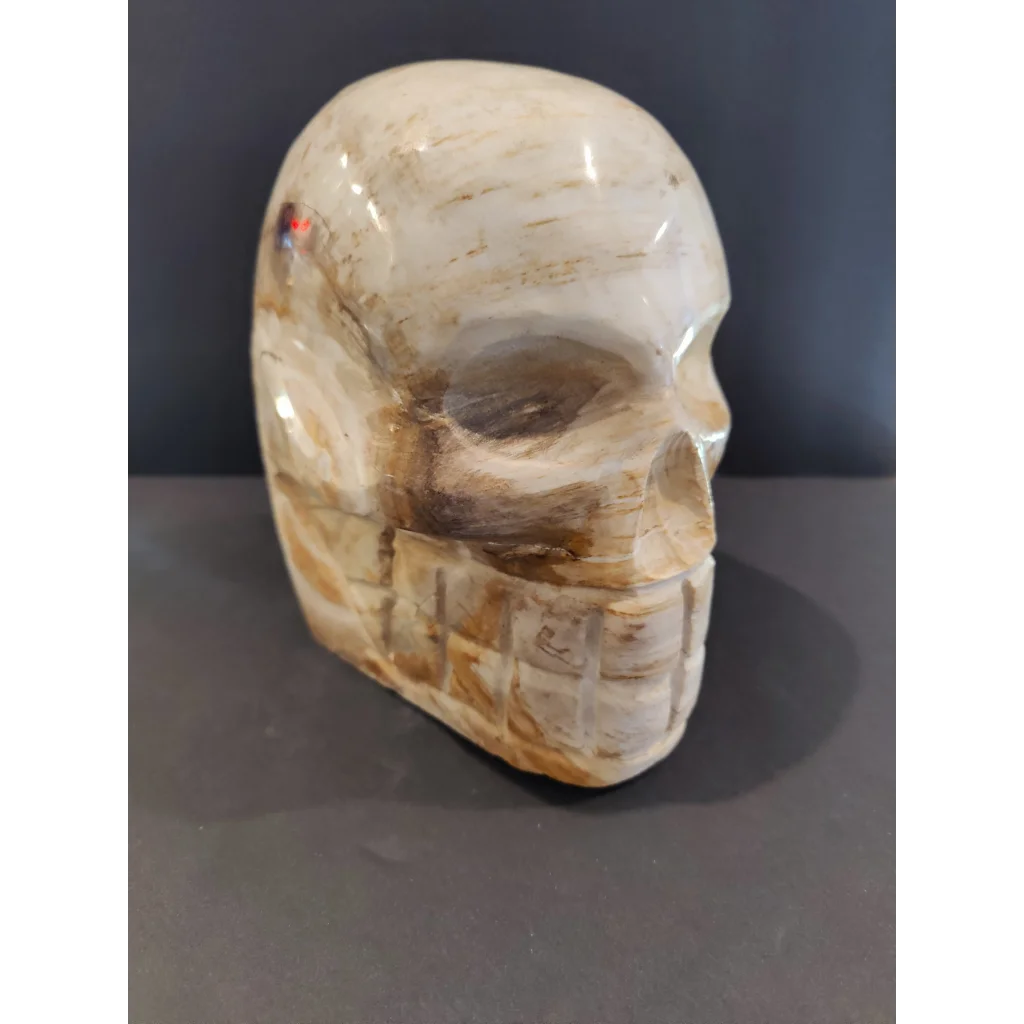 Polished cream petrified wood skull sculpture with veining