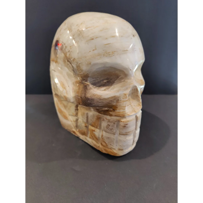 Polished cream petrified wood skull sculpture with veining