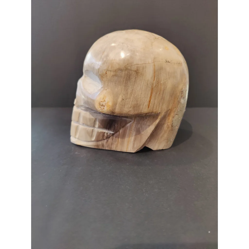 Polished petrified wood skull sculpture with carved details