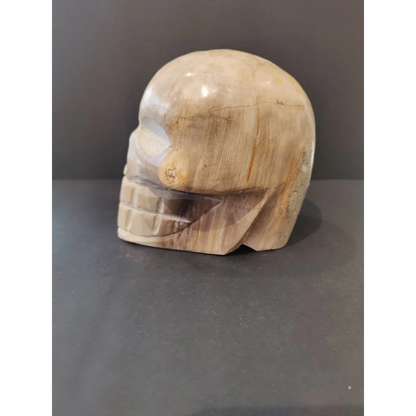 Polished petrified wood skull sculpture with carved details