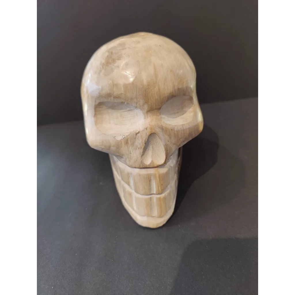 Hand-carved petrified wood skull sculpture with detailed features