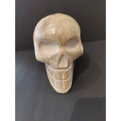 Hand-carved petrified wood skull sculpture with detailed features