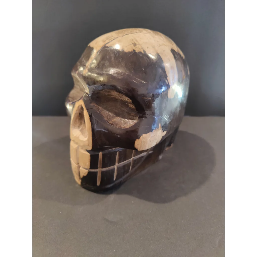 Hand-carved petrified wood skull sculpture with two-tone finish