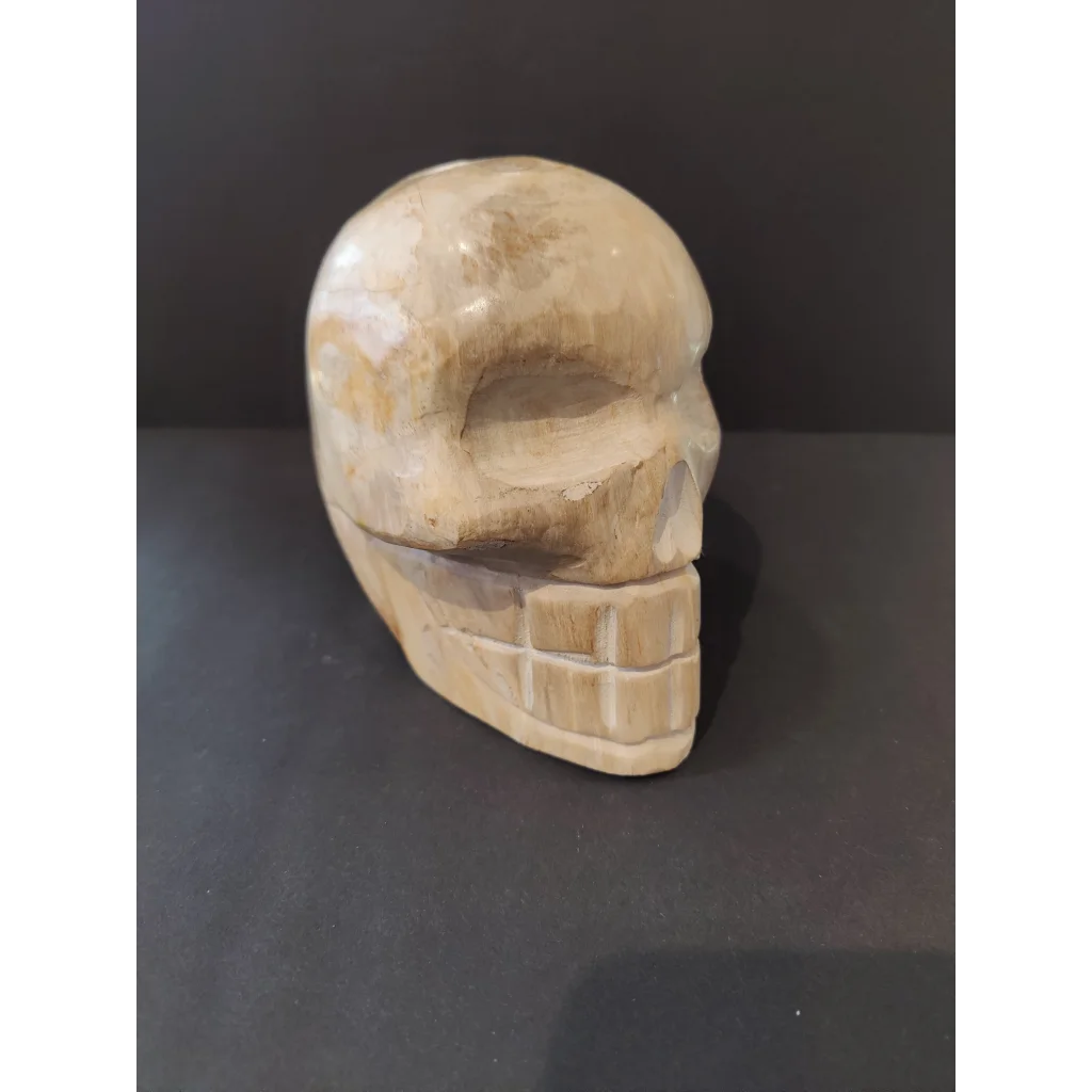 Hand-carved petrified wood skull sculpture with detailed teeth