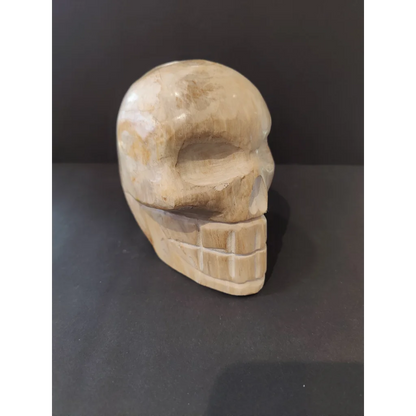 Hand-carved petrified wood skull sculpture with detailed teeth