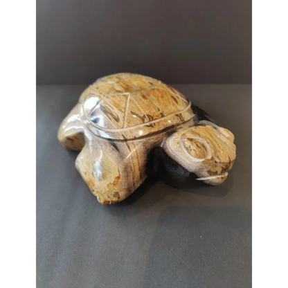 Polished petrified wood turtle sculpture with natural shell details
