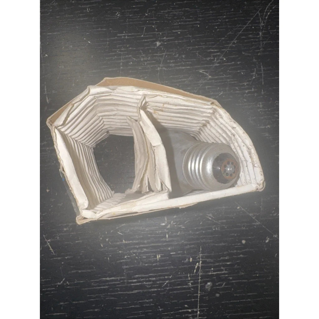 Philips long duration 15W light bulb in original cardboard packaging
