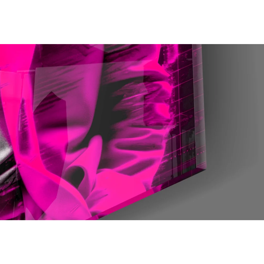 Neon pink Einstein glass wall art with geometric shapes