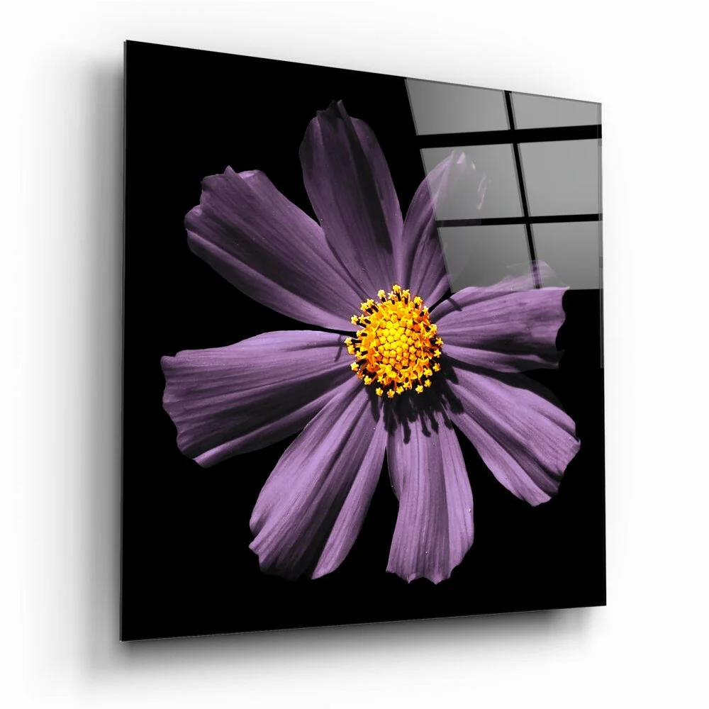 Stunning purple cosmos flower glass wall art with yellow center on black acrylic panel