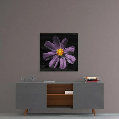 Stunning purple cosmos flower in black-and-white on glass wall art