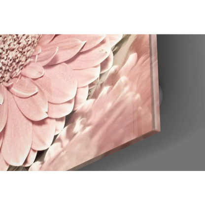 Close-up pink gerbera daisy glass wall art framed canvas print